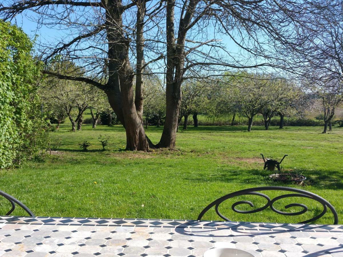 Bed and Breakfast Logis De Chezelles Sidiailles Exterior foto